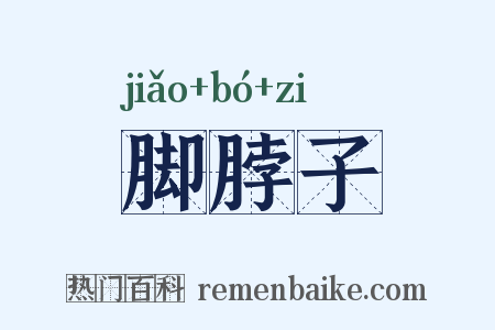 脚脖子是什么意思的图片